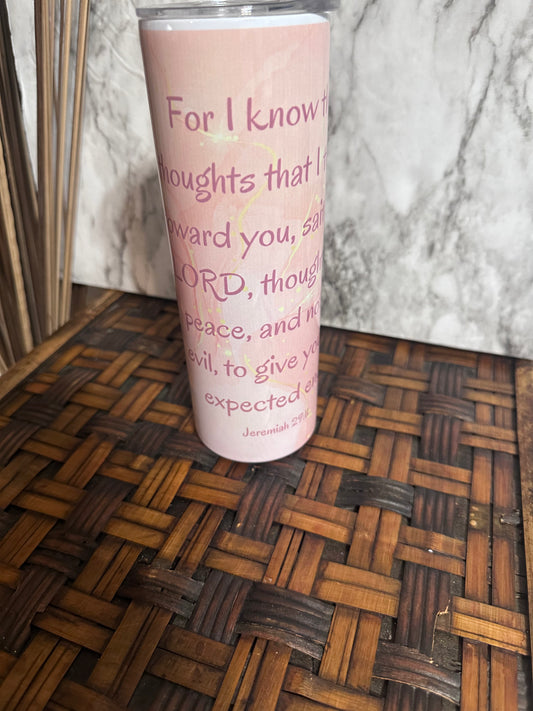 Jeremiah 29:11 Tumblers Cups
