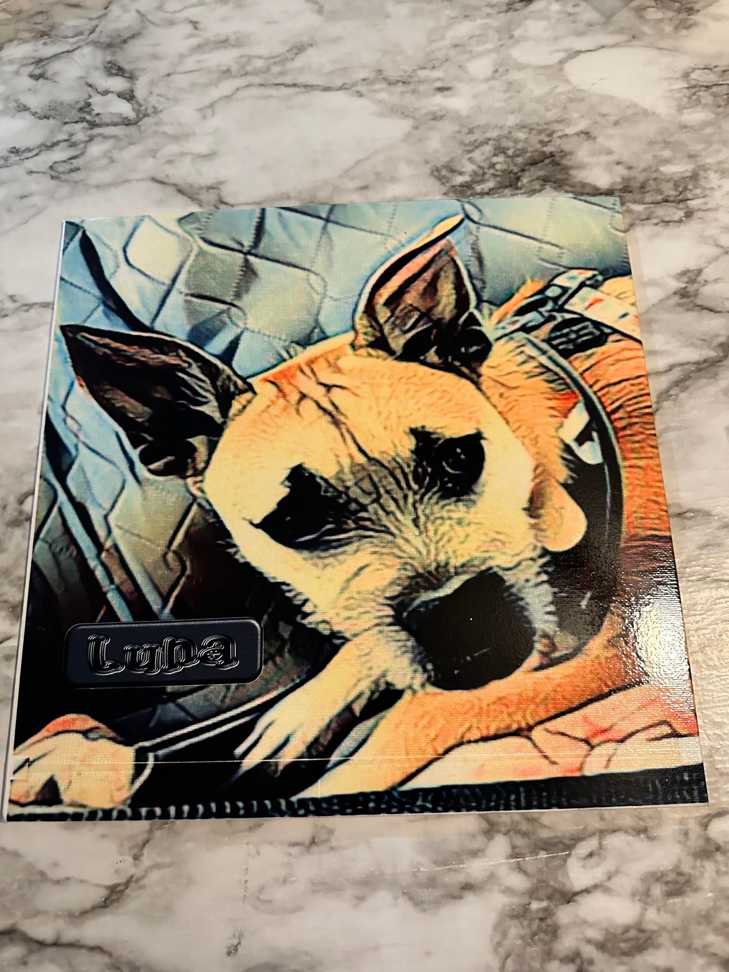 Framed Custom Photo Art